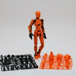 Dummy 13 model photo