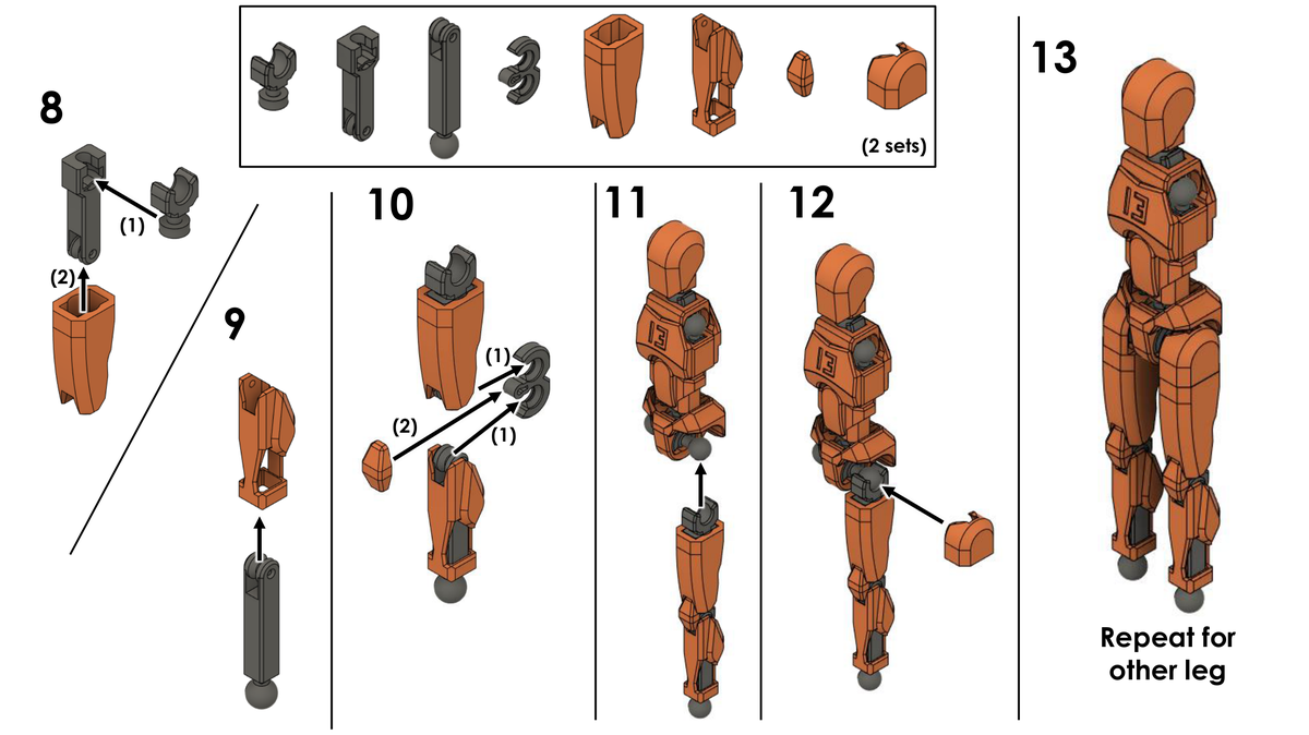 Dummy 13 Assembly Steps 8 to 13 - Legs and Hips