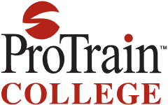 ProTrain College Flag